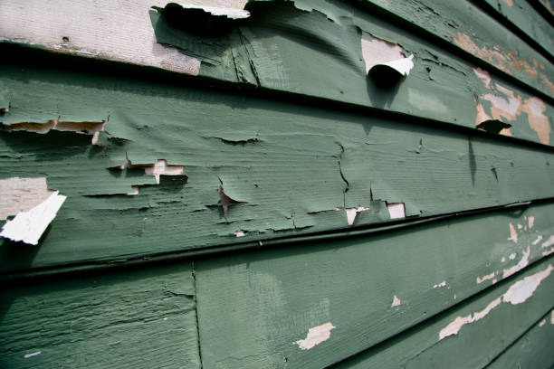 Best Demolition Debris Removal  in North Hornell, NY