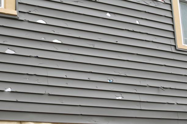Best Dumpster Rental Services  in North Hornell, NY